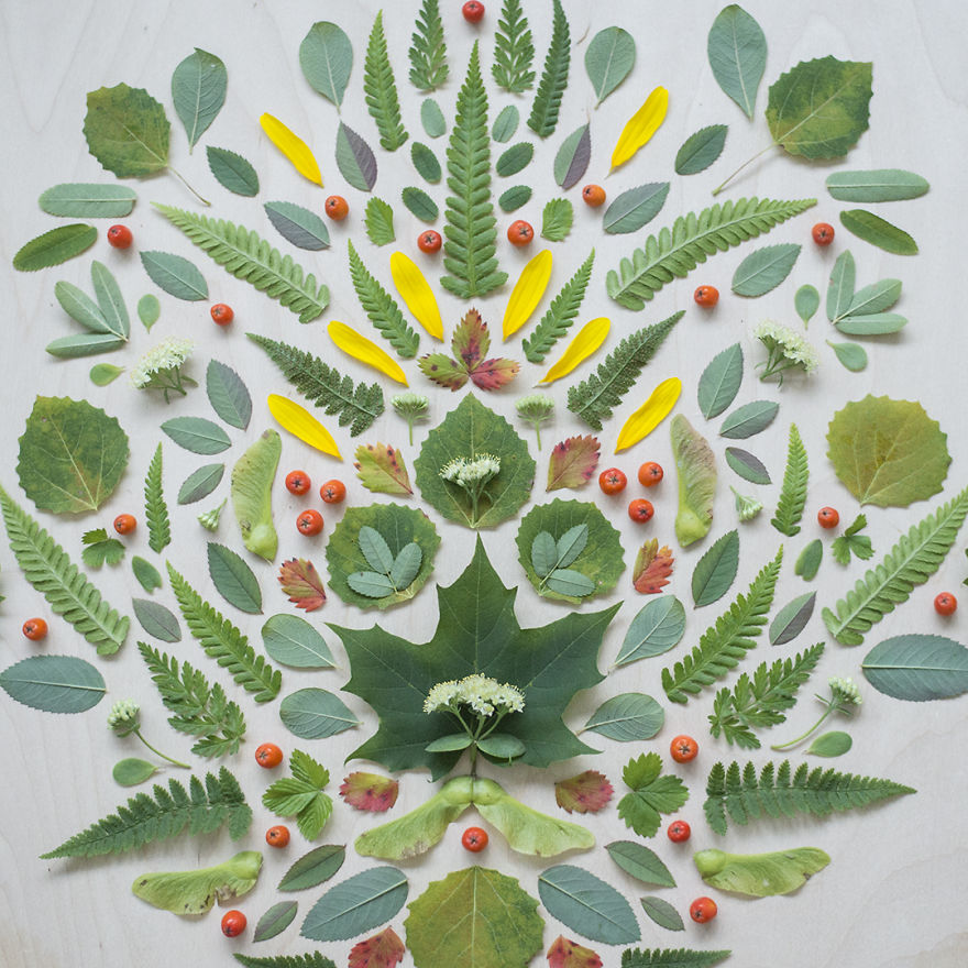 Reorganizing Little Things Found From Nearby Nature Turns Them Into Art