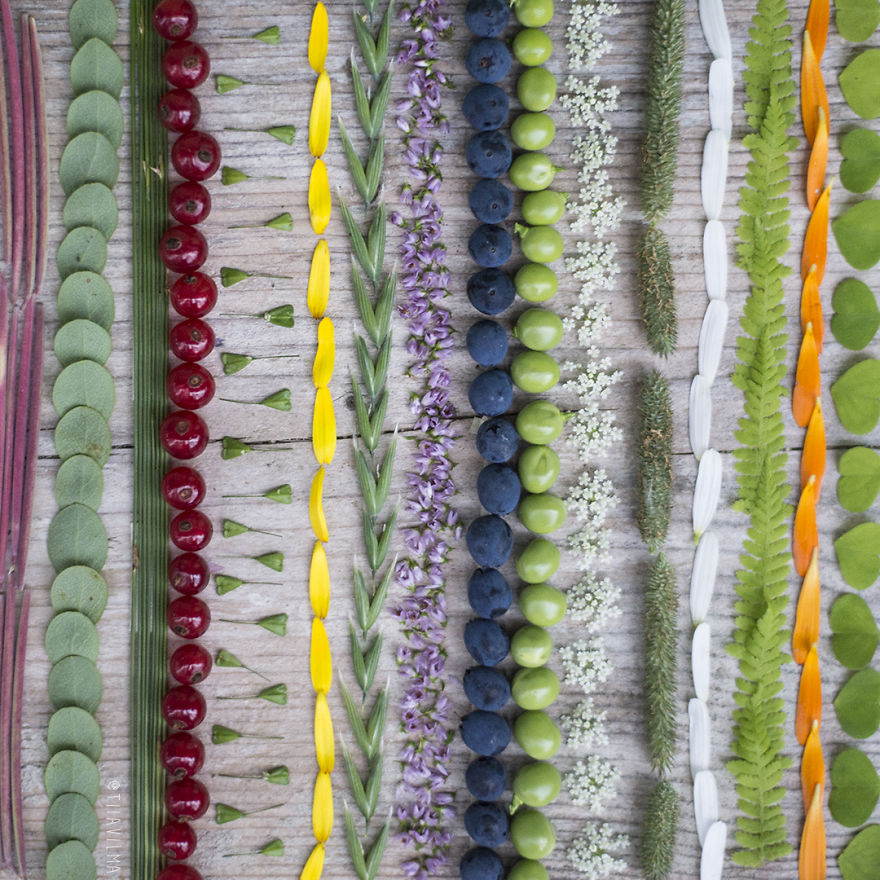 Reorganizing Little Things Found From Nearby Nature Turns Them Into Art Reorganizing Little Things Found From Nearby Nature Turns Them Into Art