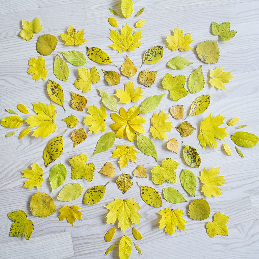 Reorganizing Little Things Found From Nearby Nature Turns Them Into Art Reorganizing Little Things Found From Nearby Nature Turns Them Into Art