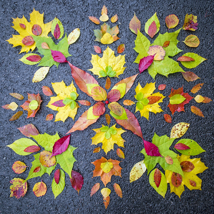 Reorganizing Little Things Found From Nearby Nature Turns Them Into Art