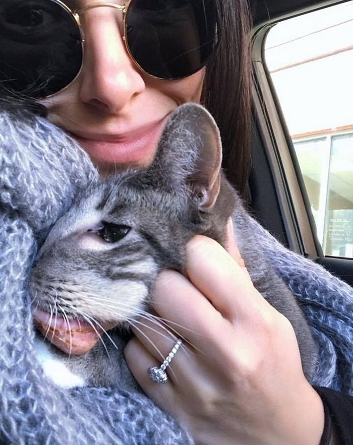 rescue-cat-mouth-tumor-keta-9