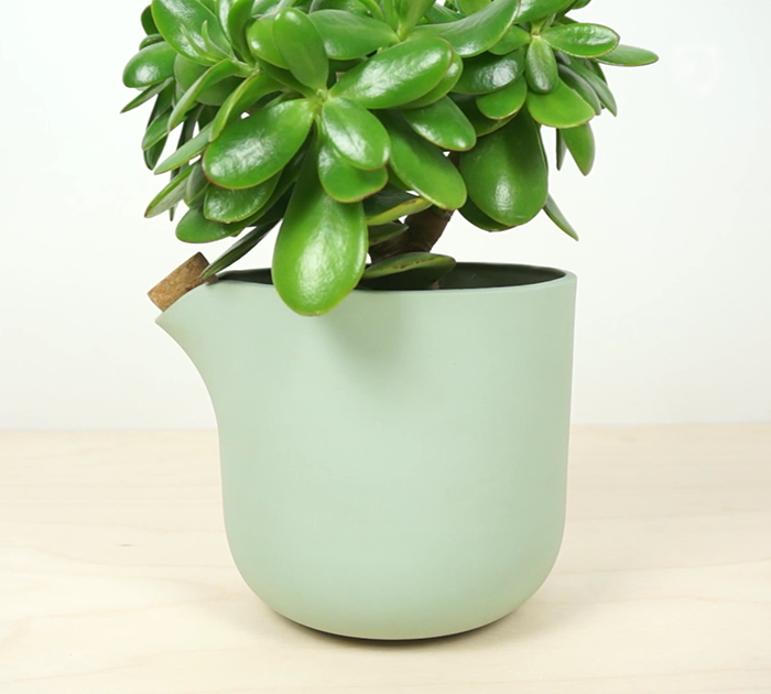 This Flower Pot Tells When It Needs Water