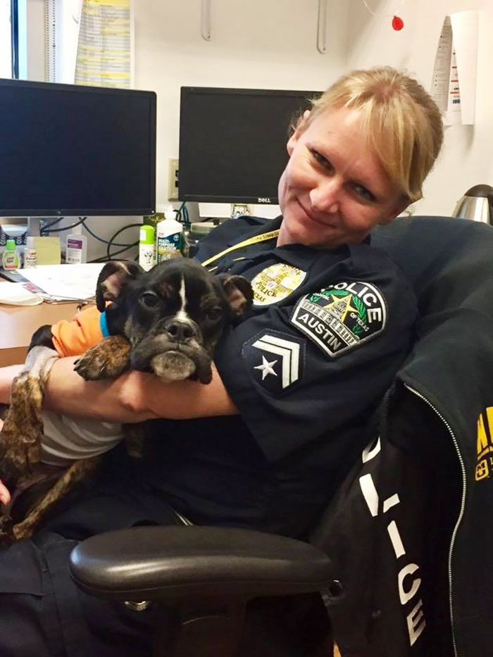 starved-dog-left-die-crate-sophie-12