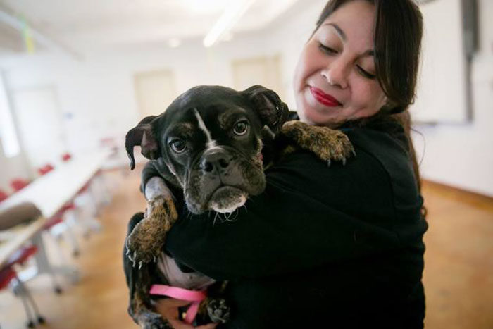 starved-dog-left-die-crate-sophie-2 starved-dog-left-die-crate-sophie-2