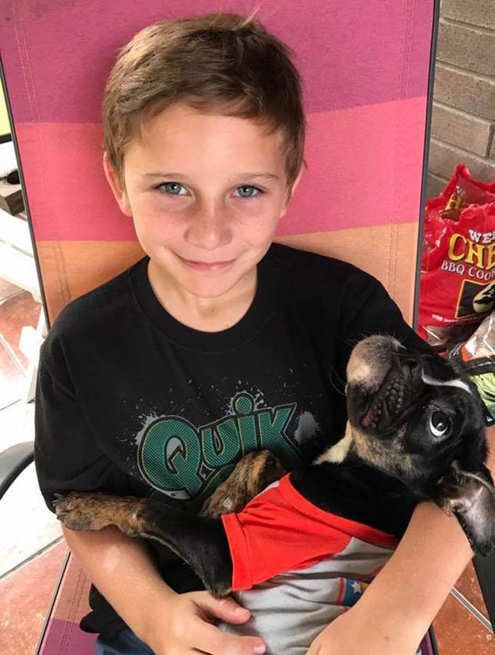 starved-dog-left-die-crate-sophie-3 starved-dog-left-die-crate-sophie-3