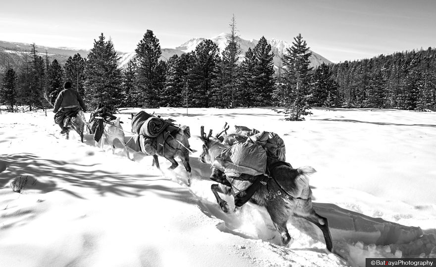 I Documented Mongolia's Mystical Tsaatan Reindeer People