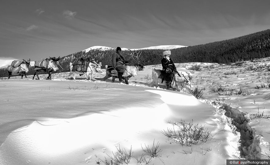 I Documented Mongolia's Mystical Tsaatan Reindeer People