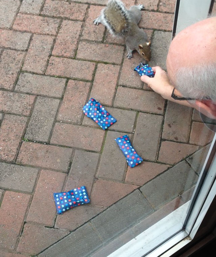tiny-christmas-presents-squirrels-dad-6 tiny-christmas-presents-squirrels-dad-6