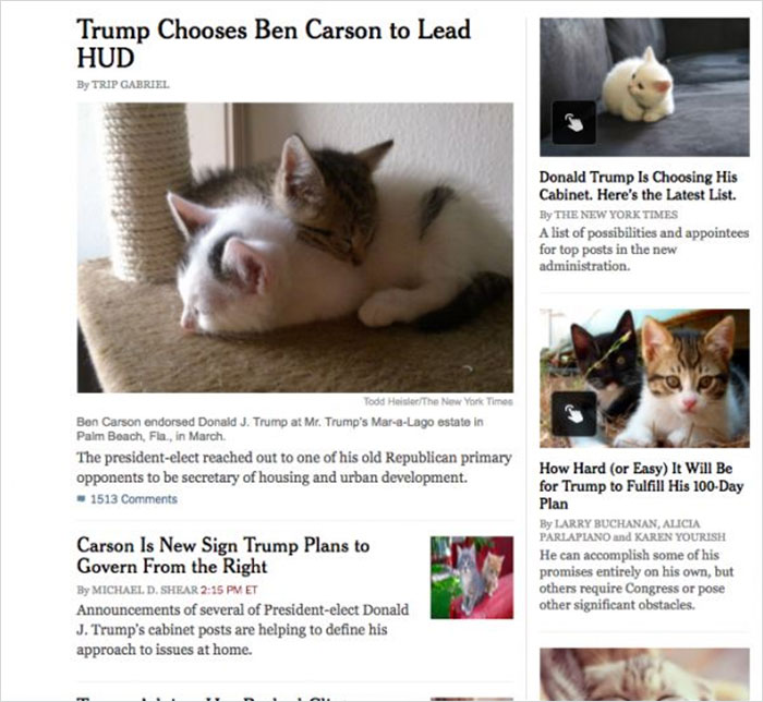 trump-chrome-extension-make-america-kittens-again-6 trump-chrome-extension-make-america-kittens-again-6