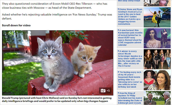 trump-chrome-extension-make-america-kittens-again-8 trump-chrome-extension-make-america-kittens-again-8
