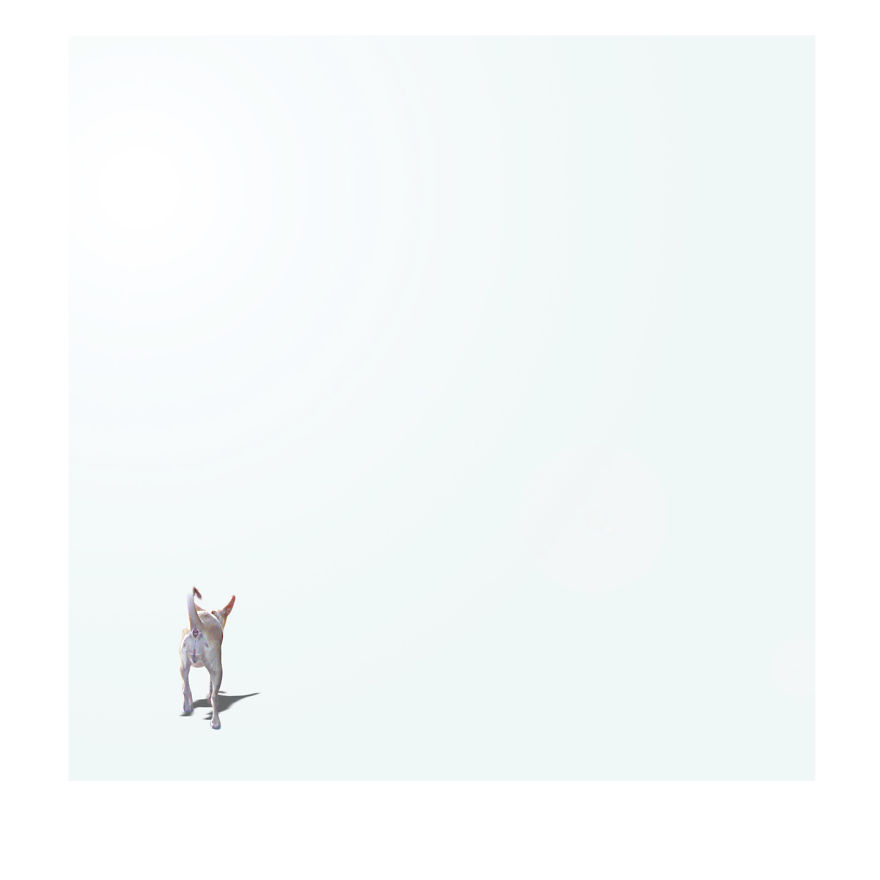 Wherever You Go, I Wish You Good Luck Wherever You Go, I Wish You Good Luck