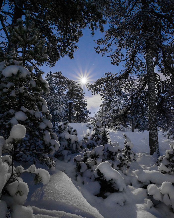 Starry Finnish Night's That I Have Captured During 2016