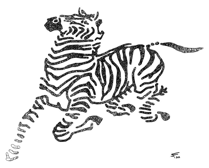 Zebra Running