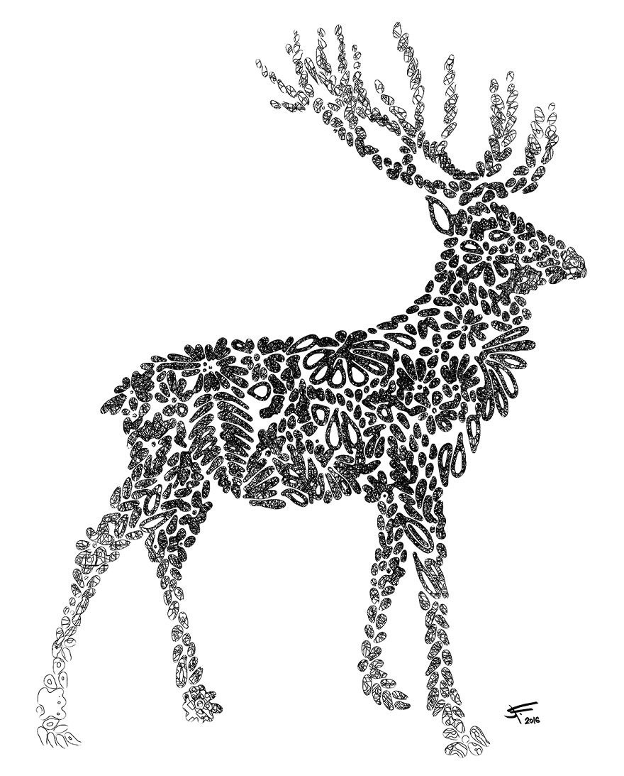 Deer