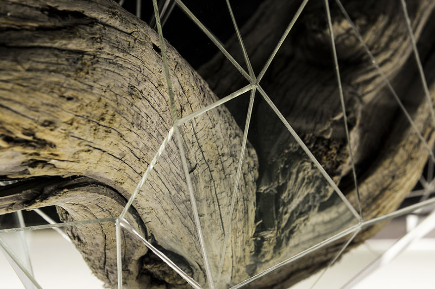I Encapsulate Driftwoods With Little Floating Glass Architectures That Look Like Computerized Chrysalis