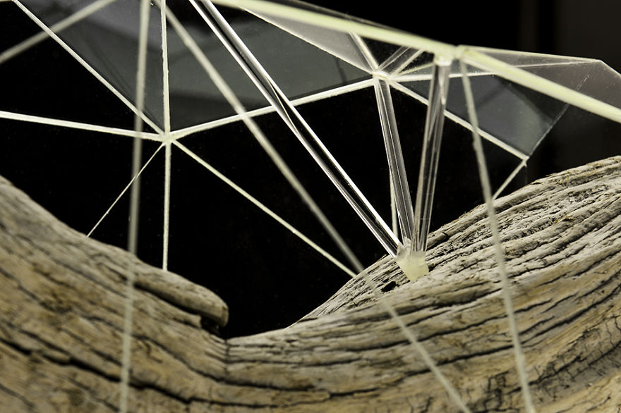 I Encapsulate Driftwoods With Little Floating Glass Architectures That Look Like Computerized Chrysalis