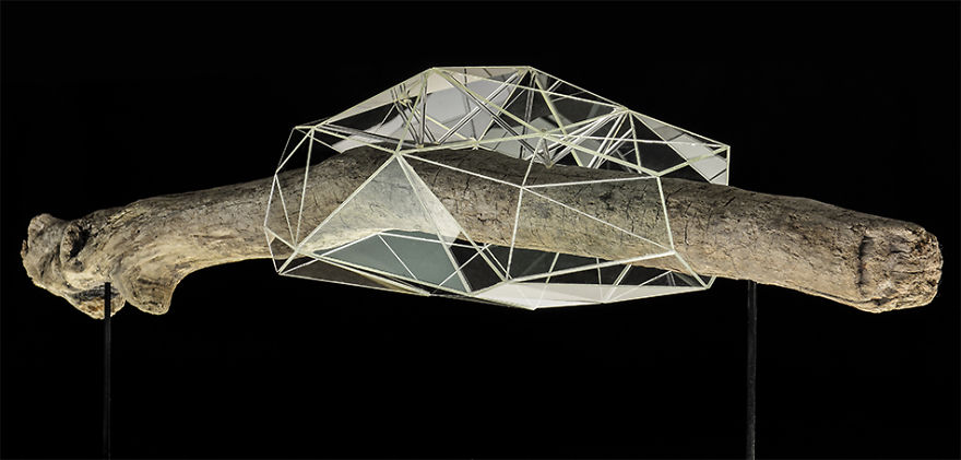 I Encapsulate Driftwoods With Little Floating Glass Architectures That Look Like Computerized Chrysalis I Encapsulate Driftwoods With Little Floating Glass Architectures That Look Like Computerized Chrysalis