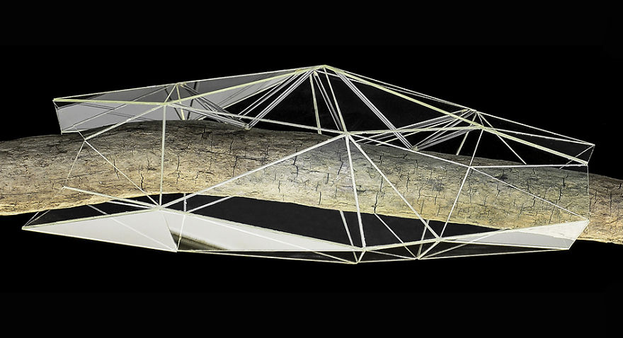 I Encapsulate Driftwoods With Little Floating Glass Architectures That Look Like Computerized Chrysalis