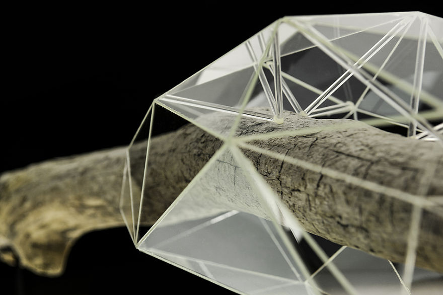 I Encapsulate Driftwoods With Little Floating Glass Architectures That Look Like Computerized Chrysalis I Encapsulate Driftwoods With Little Floating Glass Architectures That Look Like Computerized Chrysalis
