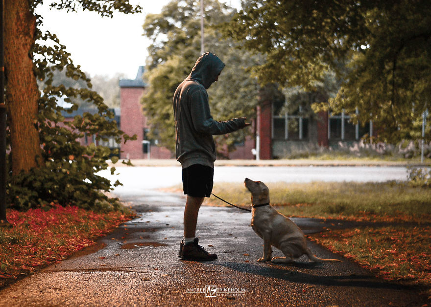 I've Taken A Picture Of My Husband And Our Labrador Every Trip In The Same Position