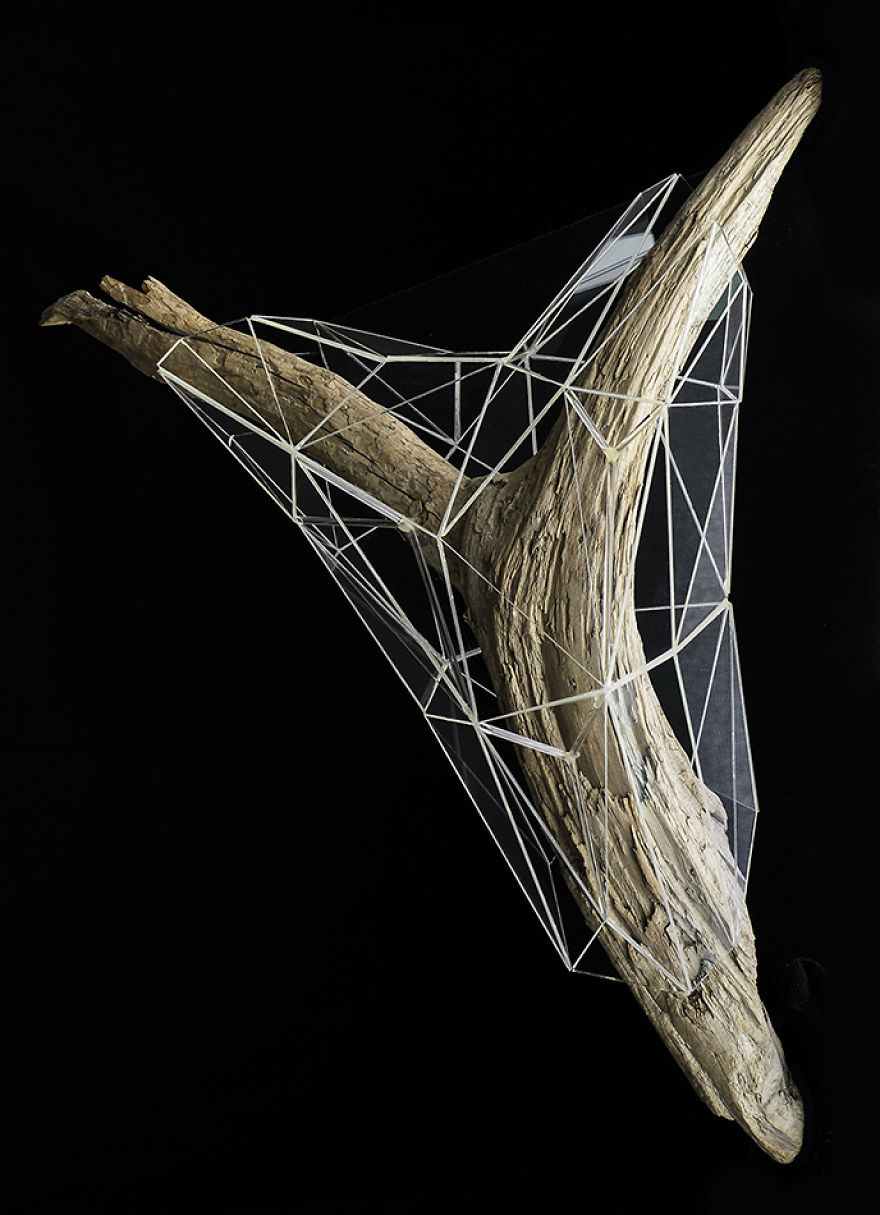 I Encapsulate Driftwoods With Little Floating Glass Architectures That Look Like Computerized Chrysalis I Encapsulate Driftwoods With Little Floating Glass Architectures That Look Like Computerized Chrysalis