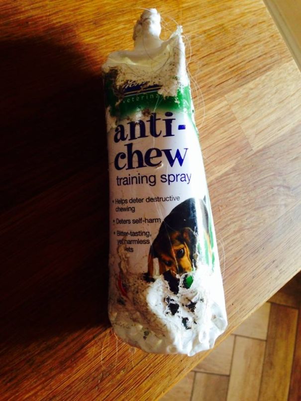 Not Recommended.......