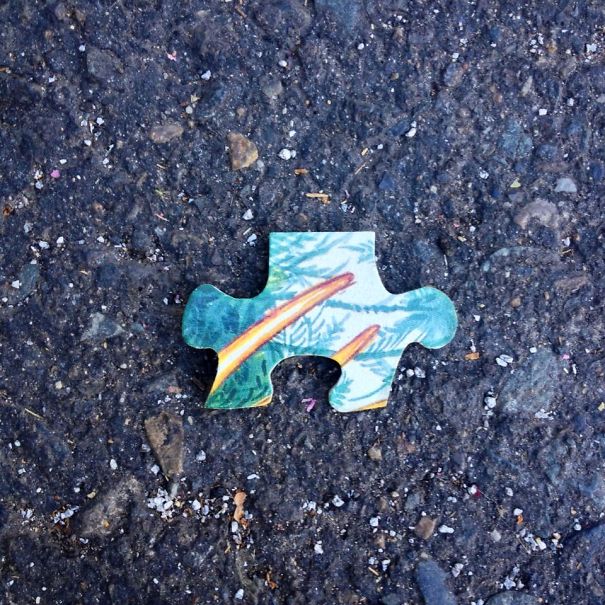 A Single Puzzle Piece