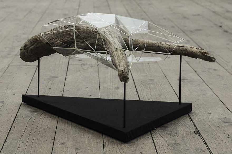 I Encapsulate Driftwoods With Little Floating Glass Architectures That Look Like Computerized Chrysalis I Encapsulate Driftwoods With Little Floating Glass Architectures That Look Like Computerized Chrysalis