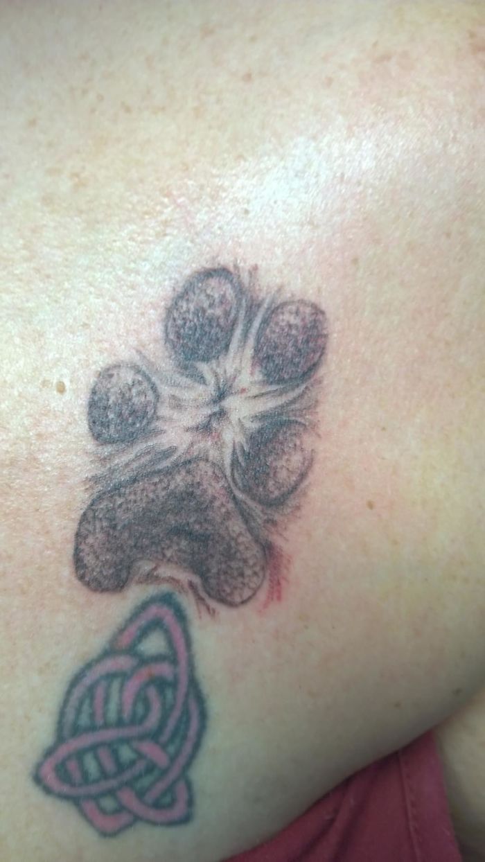 Paw print tattoo on skin with a Celtic knot design, showcasing creative dog tattoo ideas.