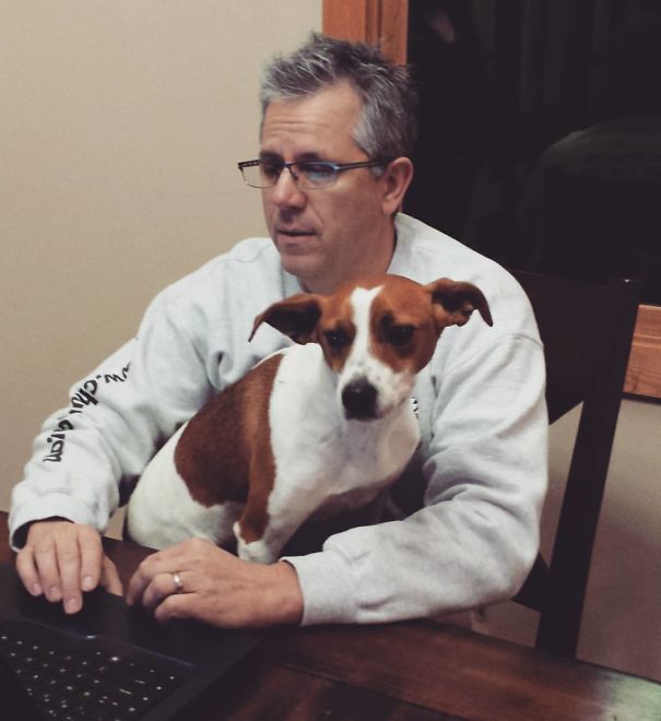 About The Stray Dog Running Around In Our Neighborhood. "don't Pet That Dog, Don't Feed That Dog, Don't Even Look At That Dog." Now Works With Dog On His Lap.