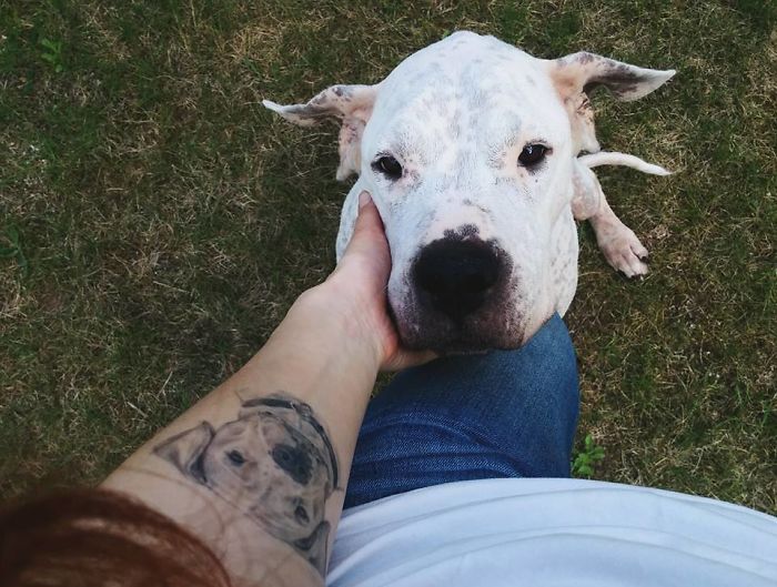Person with dog tattoo on arm, petting a white dog.