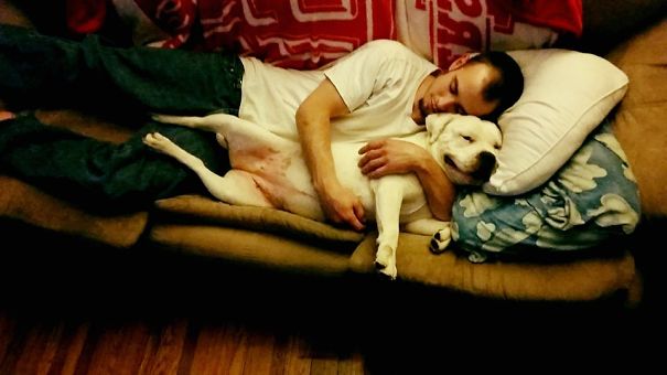 Shortly After Threatening To Leave The Family Home Because Of Pit Bull...