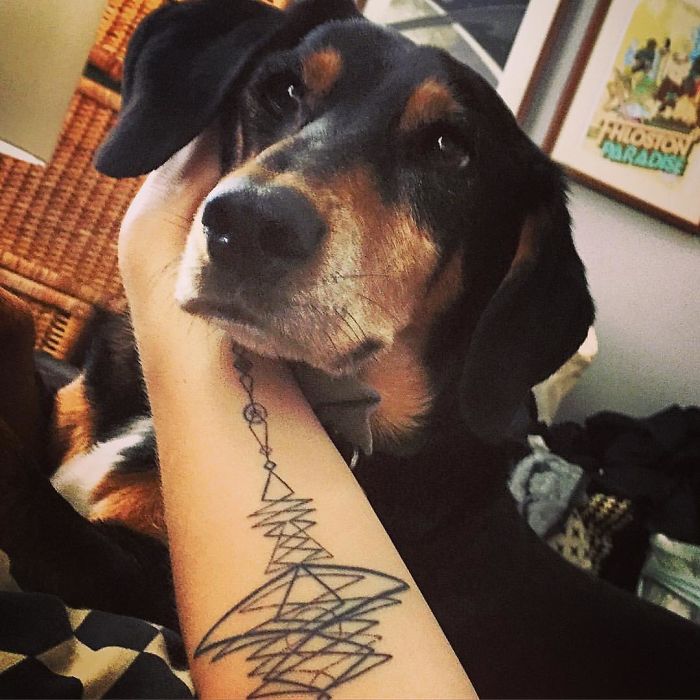 Dog with geometric tattoo on arm, capturing a unique canine design idea.