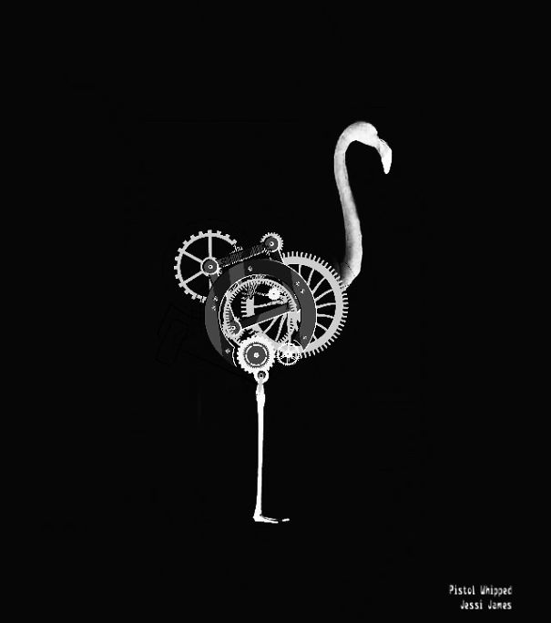 Hard Work, Will Power, And Dedication