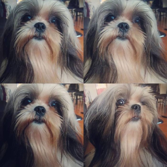 Before And After Being Called A Good Girl... And She Was Like "srsly?"