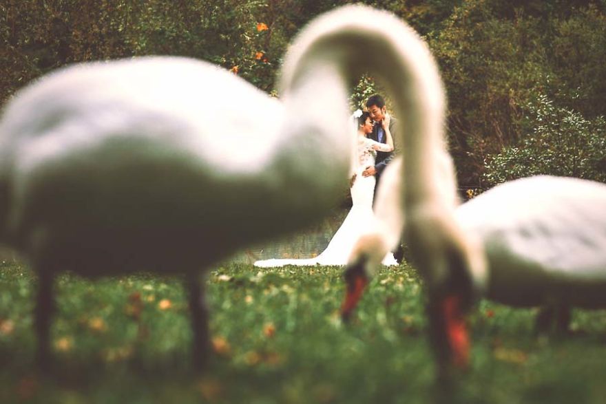 15+ Of The Most Stunning Wedding Photos You'll Ever See