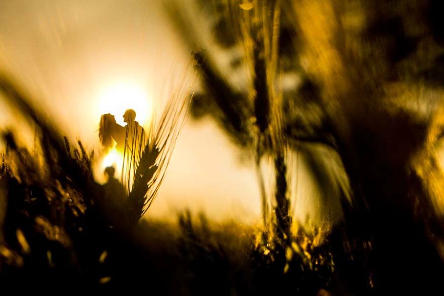 15+ Of The Most Stunning Wedding Photos You'll Ever See