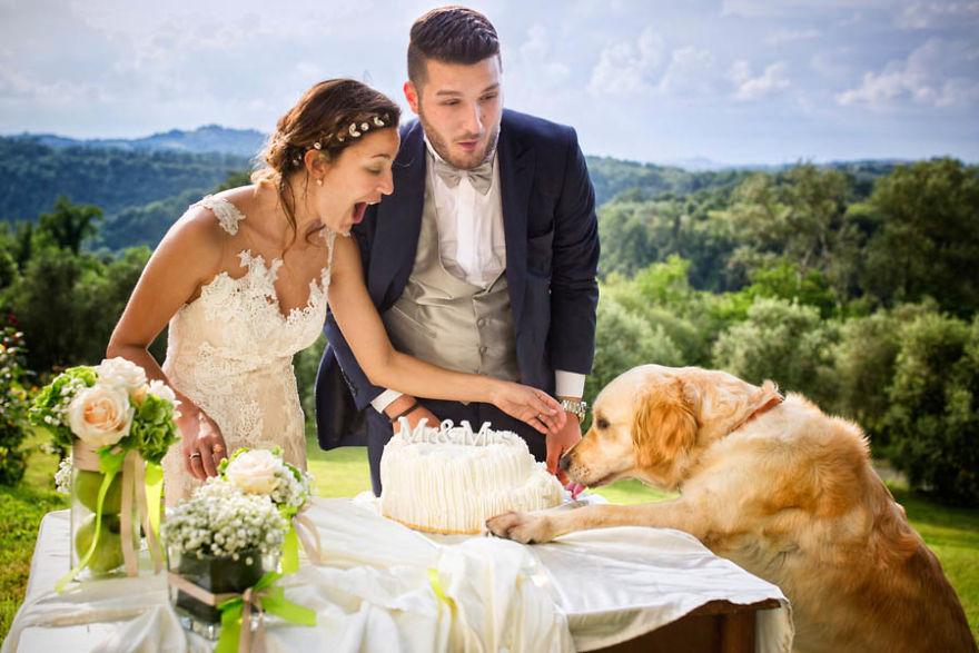15+ Of The Most Stunning Wedding Photos You'll Ever See