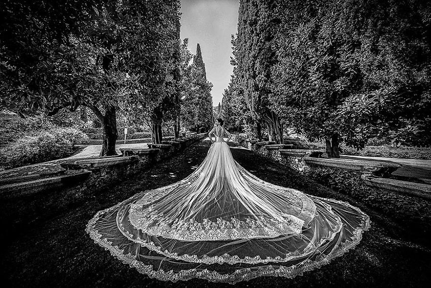 15+ Of The Most Stunning Wedding Photos You'll Ever See