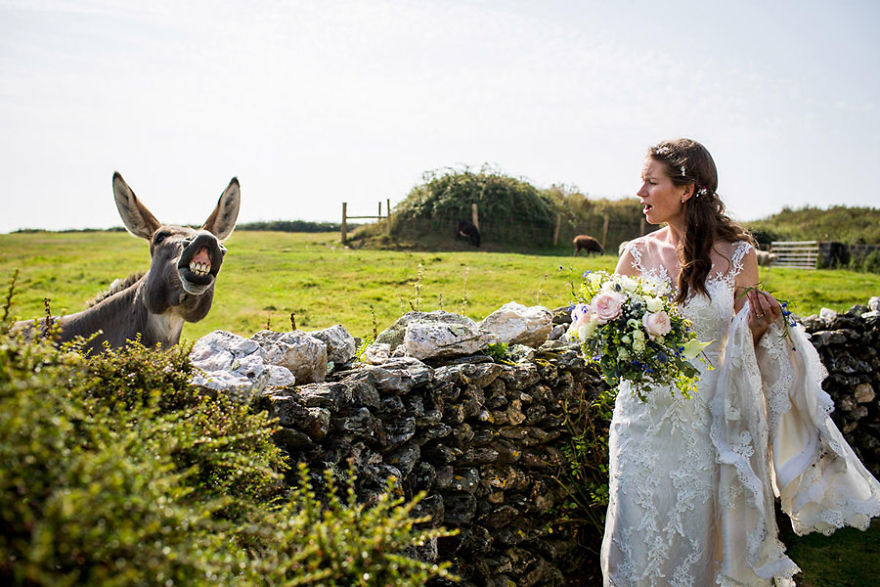 15+ Of The Most Stunning Wedding Photos You'll Ever See