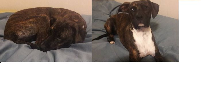 Lily Before And After "good Girl"