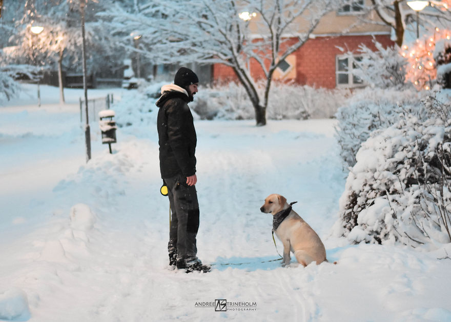 I've Taken A Picture Of My Husband And Our Labrador Every Trip In The Same Position
