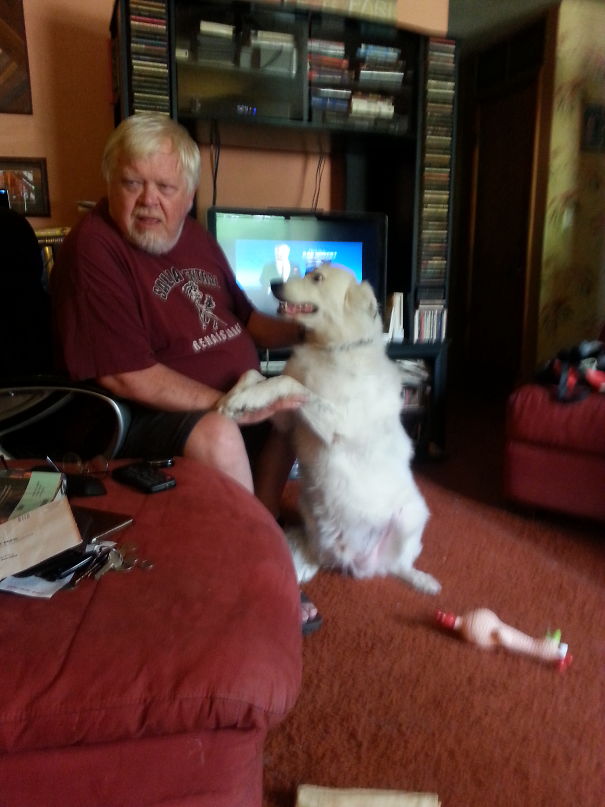 Dogs Are Too Much Work. I Don't Want A Dog. Dog Goes With Him Everywhere.