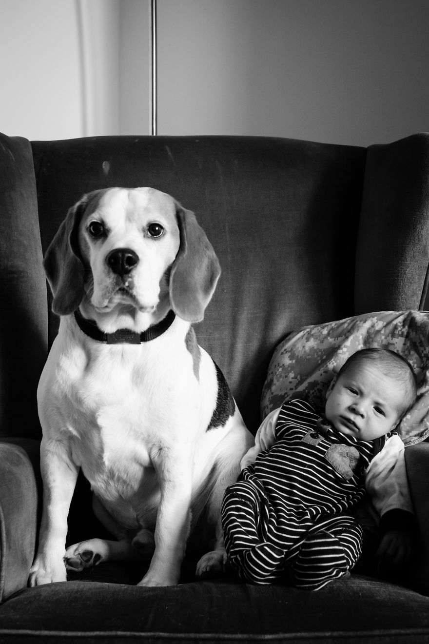 I've Taken A Picture Of My Son And Beagle Every Month For The Last Two Years In The Same Chair