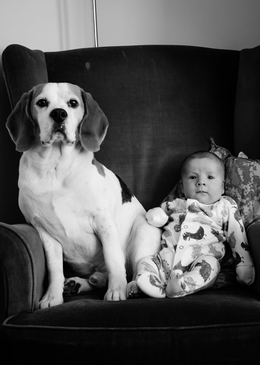 I've Taken A Picture Of My Son And Beagle Every Month For The Last Two Years In The Same Chair I've Taken A Picture Of My Son And Beagle Every Month For The Last Two Years In The Same Chair