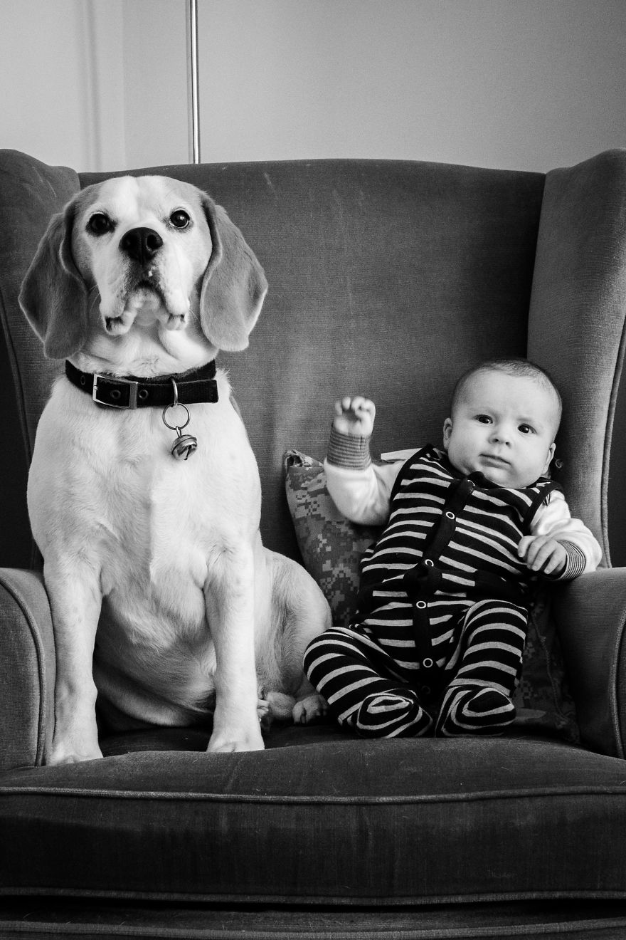 I've Taken A Picture Of My Son And Beagle Every Month For The Last Two Years In The Same Chair I've Taken A Picture Of My Son And Beagle Every Month For The Last Two Years In The Same Chair