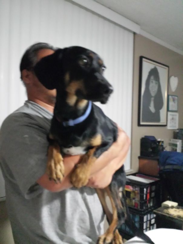 Hey He Is His Other Child