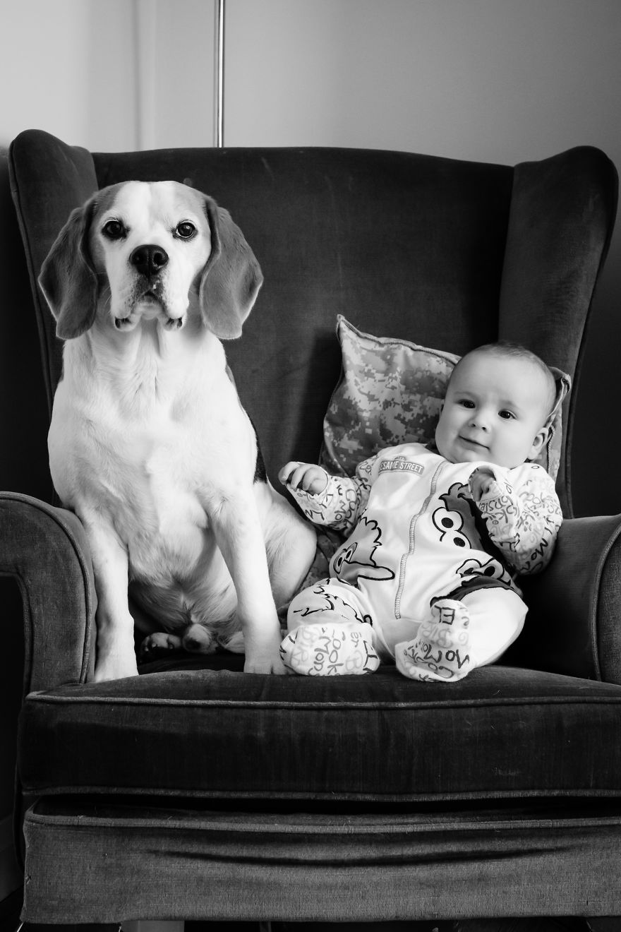 I've Taken A Picture Of My Son And Beagle Every Month For The Last Two Years In The Same Chair I've Taken A Picture Of My Son And Beagle Every Month For The Last Two Years In The Same Chair