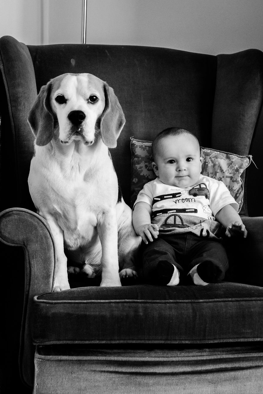 I've Taken A Picture Of My Son And Beagle Every Month For The Last Two Years In The Same Chair