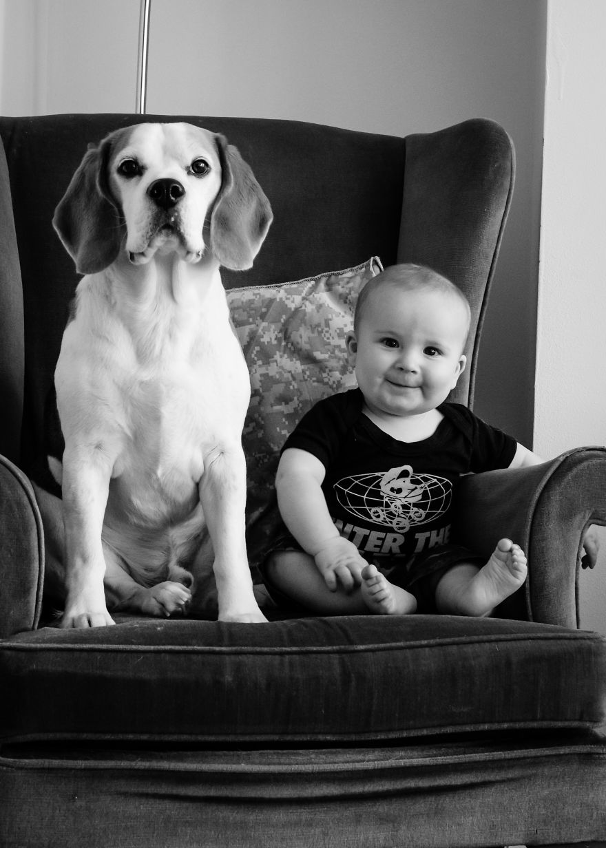 I've Taken A Picture Of My Son And Beagle Every Month For The Last Two Years In The Same Chair I've Taken A Picture Of My Son And Beagle Every Month For The Last Two Years In The Same Chair